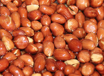 tomate-img4