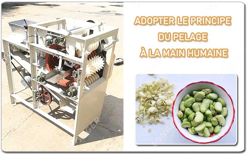 A m&aacute;quina de descascar feij&atilde;o adota o princ&iacute;pio do descascamento manual humano.jpg