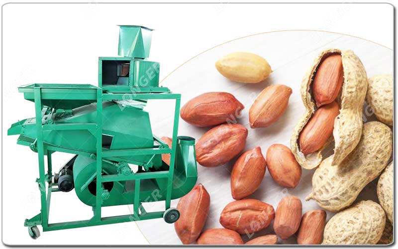 Máquina de remoção de caroço de amendoim.jpg Máquina de remoção de caroço de amendoim.jpg