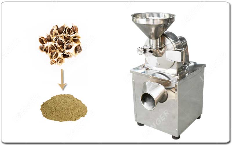 Máquina comercial de moer pó de moringa.jpg Máquina comercial de moer pó de moringa.jpg