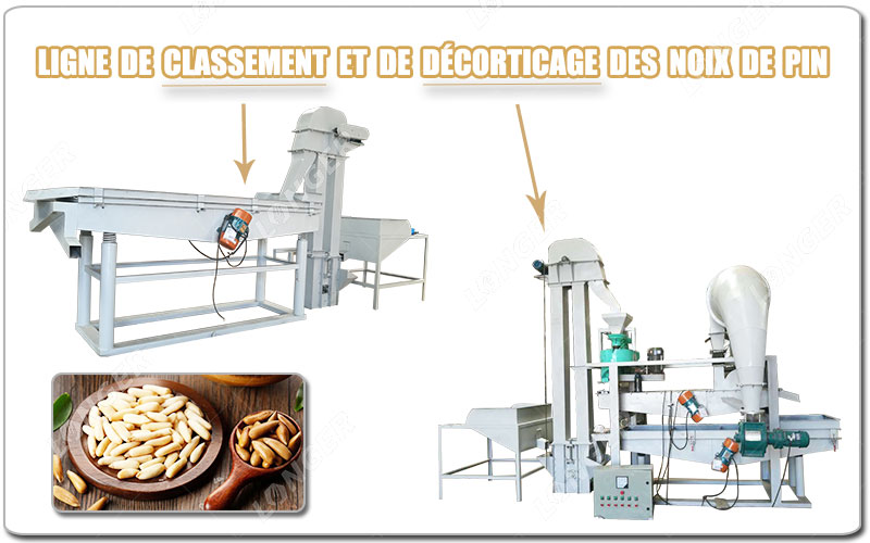 Linha de classificação e descascamento de pinhões.jpg Linha de classificação e descascamento de pinhões.jpg