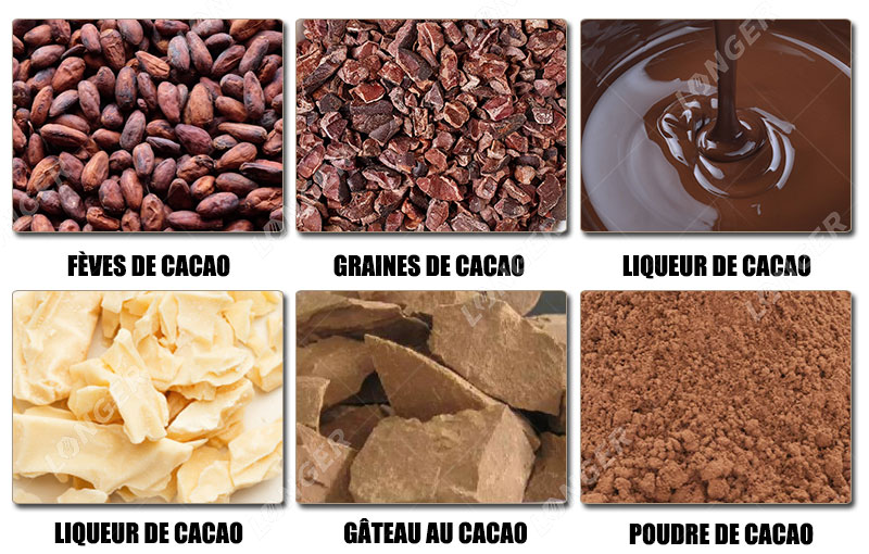 Os diferentes tipos de cacau.jpg