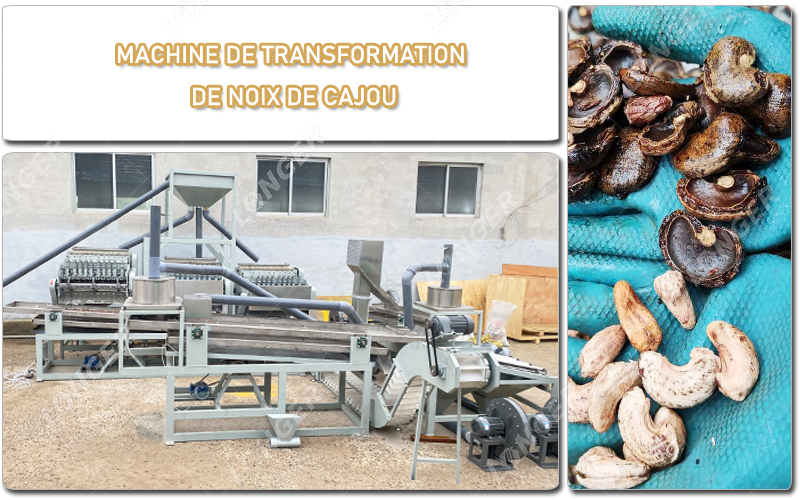 Máquina de processamento de castanha de caju.jpg