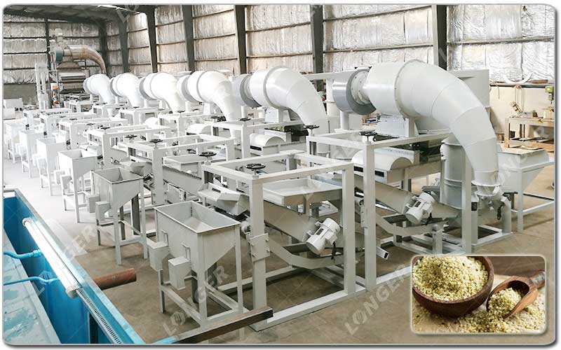Máquina automática de separação de sementes de cânhamo.jpg