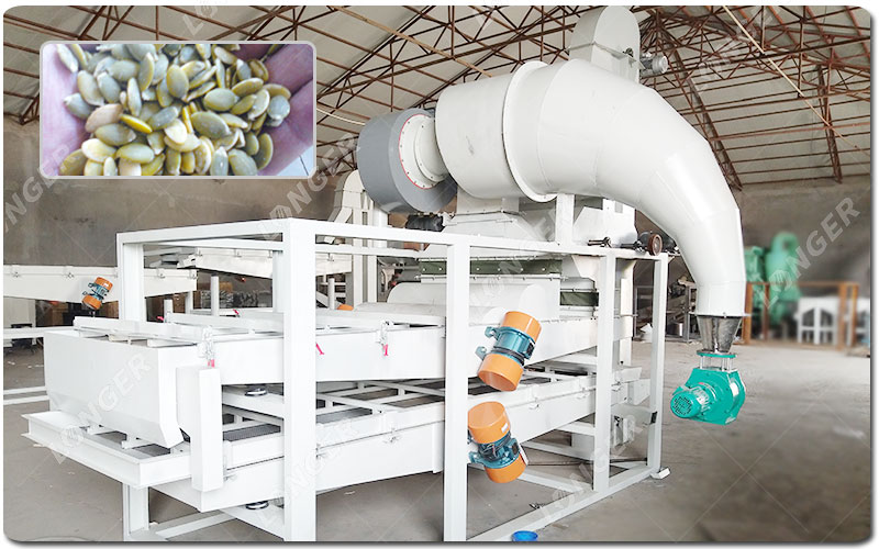 Características do equipamento automático para descascamento de sementes de abóbora.jpg Características do equipamento automático para descascamento de sementes de abóbora.jpg