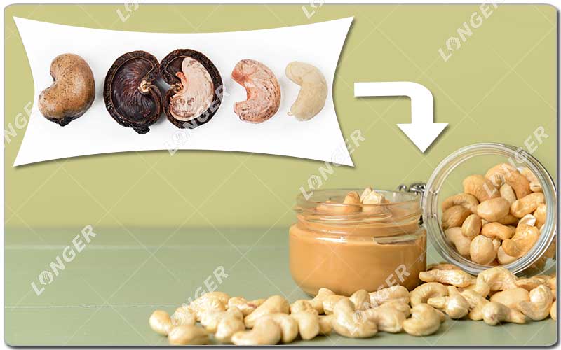 Qual é a lucratividade do processamento da castanha de caju?