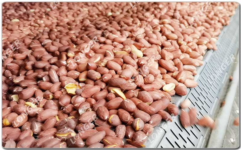 Objetivo do Peanut Roasting.jpg