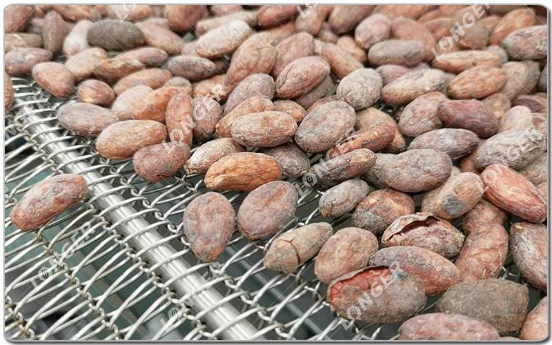 Processo de Processamento de Cacau - Roasting.jpg