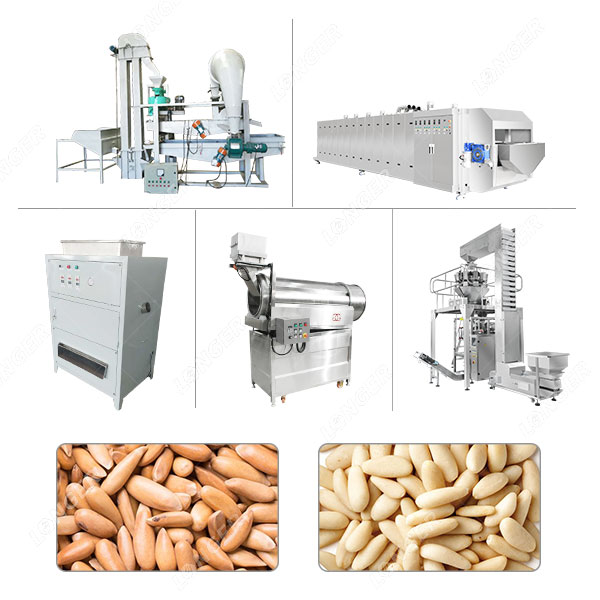 Máquina automática de processamento de torrefação de pinhões