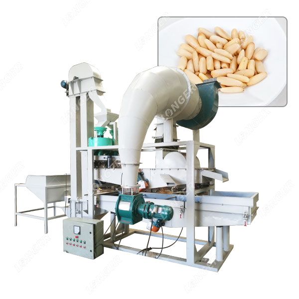 Máquina de Descascamento de Pinhões.jpg